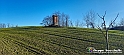 20230110_151549 - Dalla terra... il grano